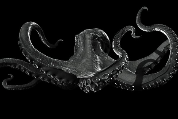 Kraken 12at