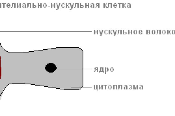 Ссылка кракен магазин