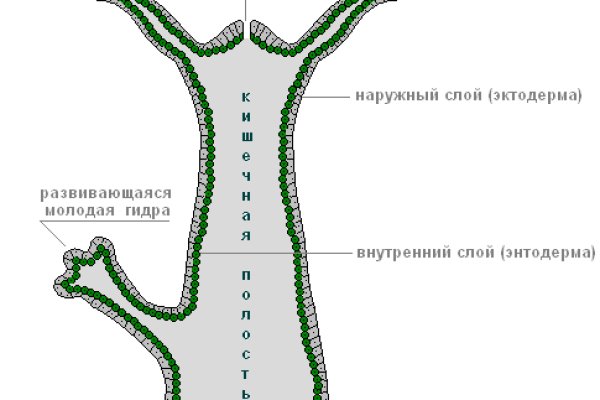 Кракен ссылка зайти